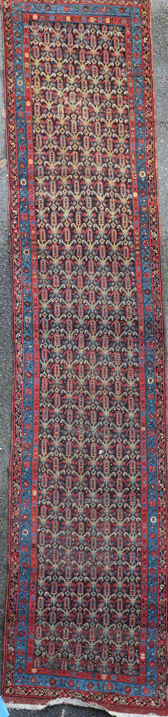 An antique Azerbaijan runner, 15ft 4in by 3ft 7in.